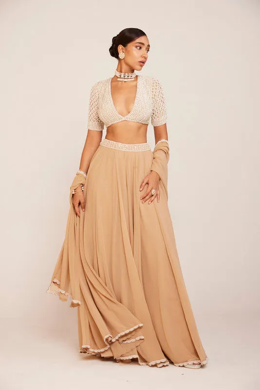 Beige Lehenga Pants Set