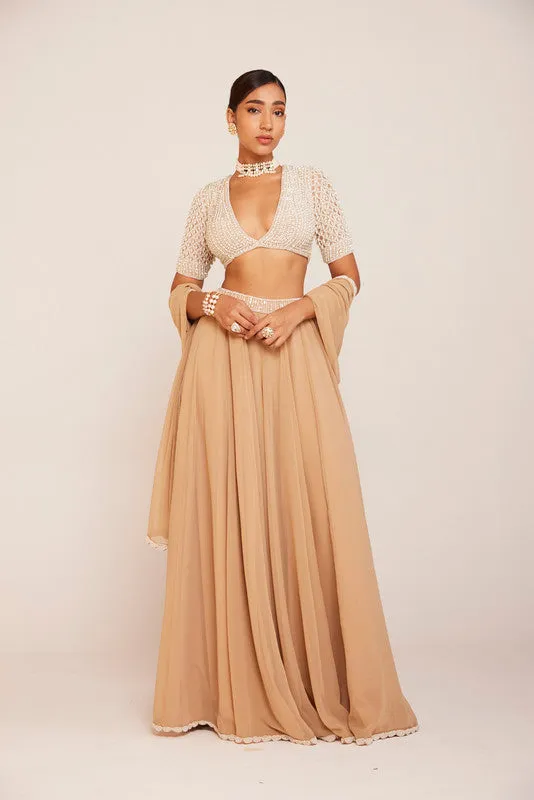 Beige Lehenga Pants Set