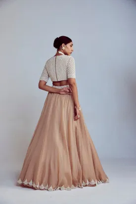 Beige Organza Lehenga Set