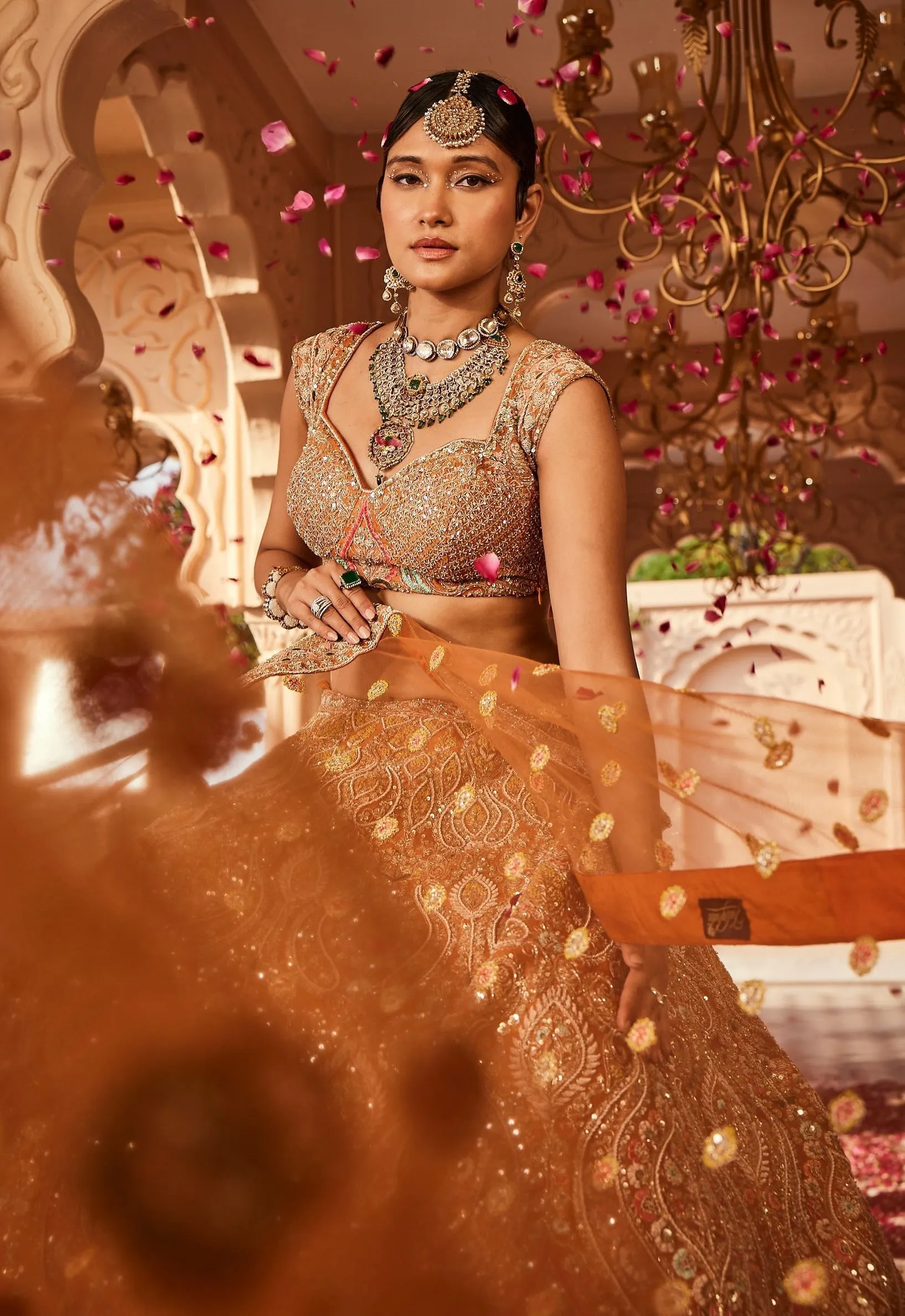 Rust Embellished Lehenga